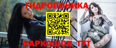 стаф Краснодар