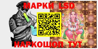 стаф Краснодар