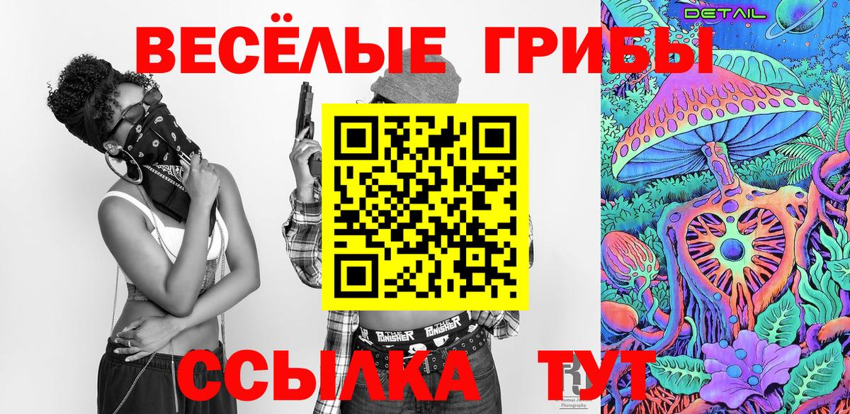 Галлюциногенные грибы мицелий  Псилоцибиновые грибы мицелий  Вход с VPN  Кимры 